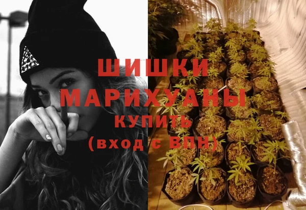 соль ск Иннополис