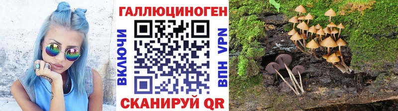 наркошоп  Фрязино  Галлюциногенные грибы Psilocybe 