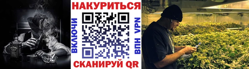 закладки  Фрязино  MEGA tor  Бошки марихуана THC 21% 